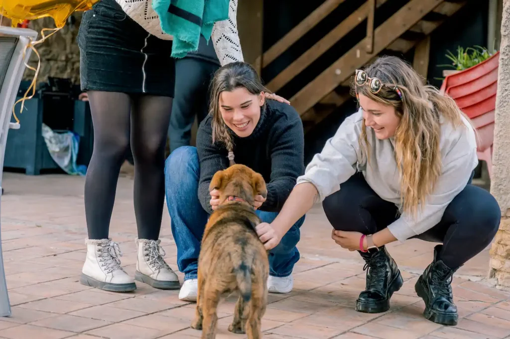 Jóvenes admirando a un cachorro al aire libre en un entorno urbano